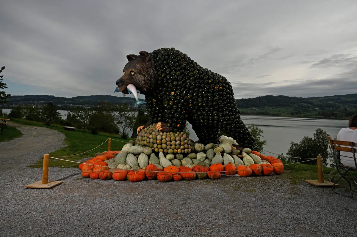 Mit dem Lachs im Maul nimmt der Bär gedanklich Kurs in den hohen Norden – dorthin, wo Wildnis, Weite und Abenteuer locken. Grizzly-Bär aus Kürbissen.